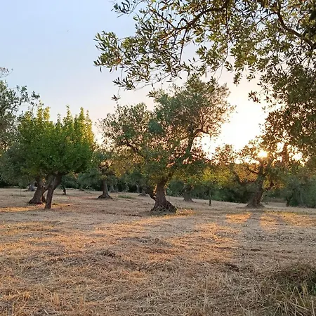 Bauernhof Tre Trulli La Correggia