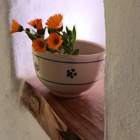 Tre Trulli Farm stay La Correggia