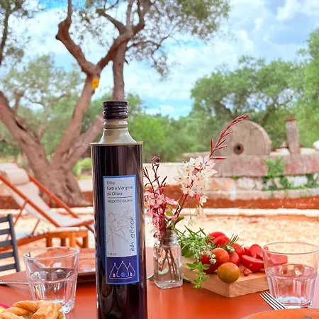 Farm stay Tre Trulli La Correggia