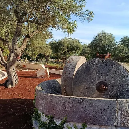 Farm stay Tre Trulli *