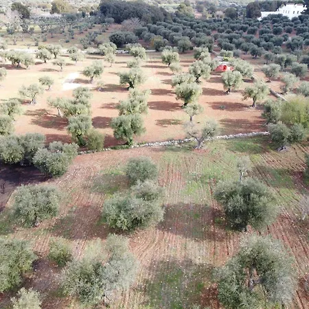 Farm stay Tre Trulli La Correggia